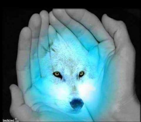 kikodiablillo's tweet photo. http://t.co/nWaihEb9jH
