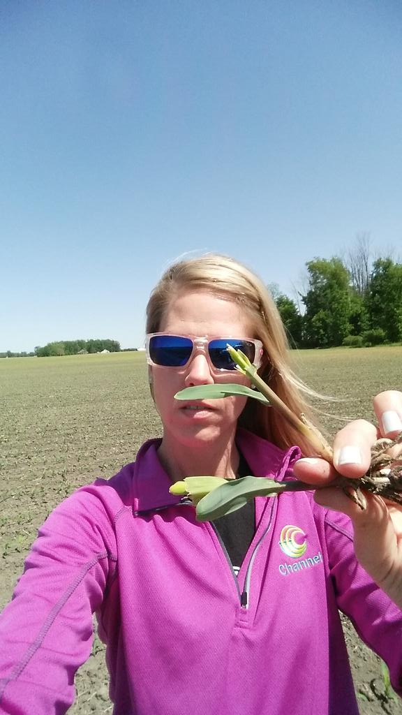 osu1ag's tweet photo. Cutworm on the move in comp. corn.  Do you have control in your field? #stxrib  #cutworm  @Channel_OH @Channel_OH http://t.co/bO15PdiUVt