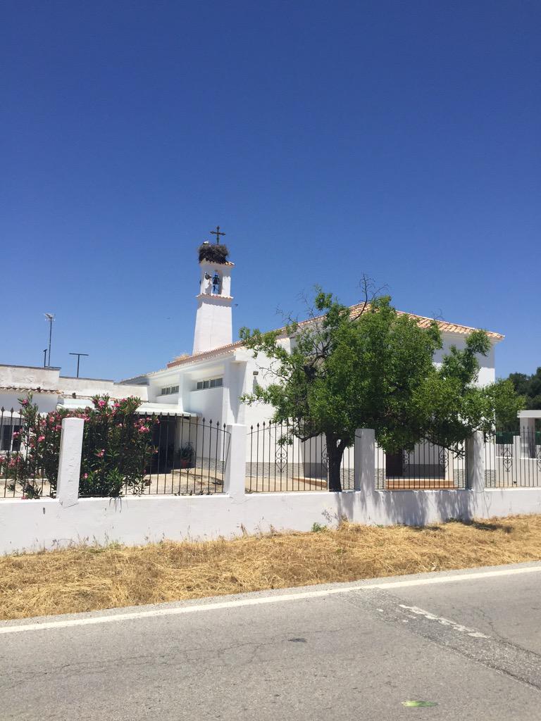 Und das kann nicht das Burgenland sein, dachte sich wohl der Storch!