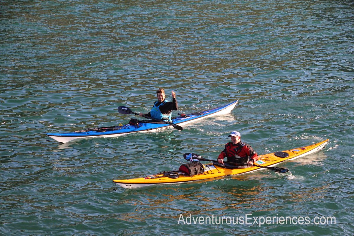 Adventure Lights tweet media