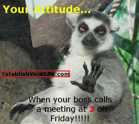 Don't miss happy hour for the umpteenth time!!!!