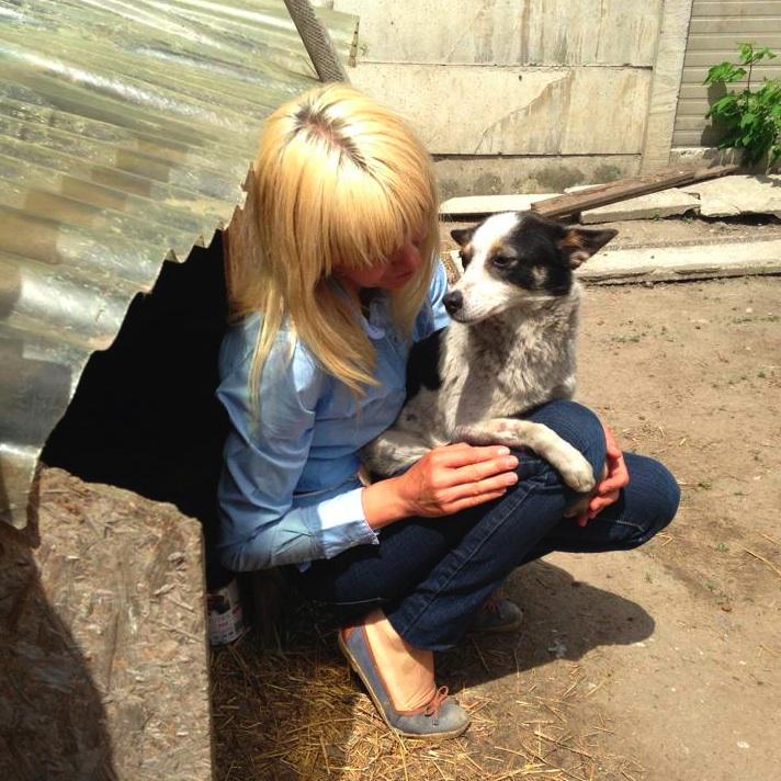 DogRescue2014's tweet photo. #FeedEmFriday Simona cares for over 40 strays in Romania! Please PayPal simothell@yahoo.com and help feed the dogs! http://t.co/g8pwPe5s5K