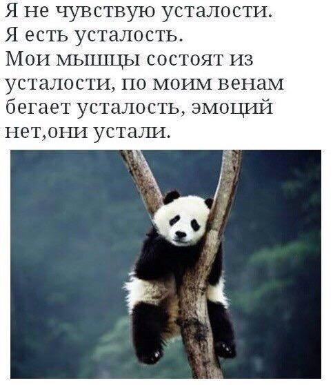 Анастасия tweet media