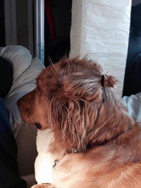 StumblerVideos's tweet photo. when he can pull of a man bun http://t.co/0H79scRdSB