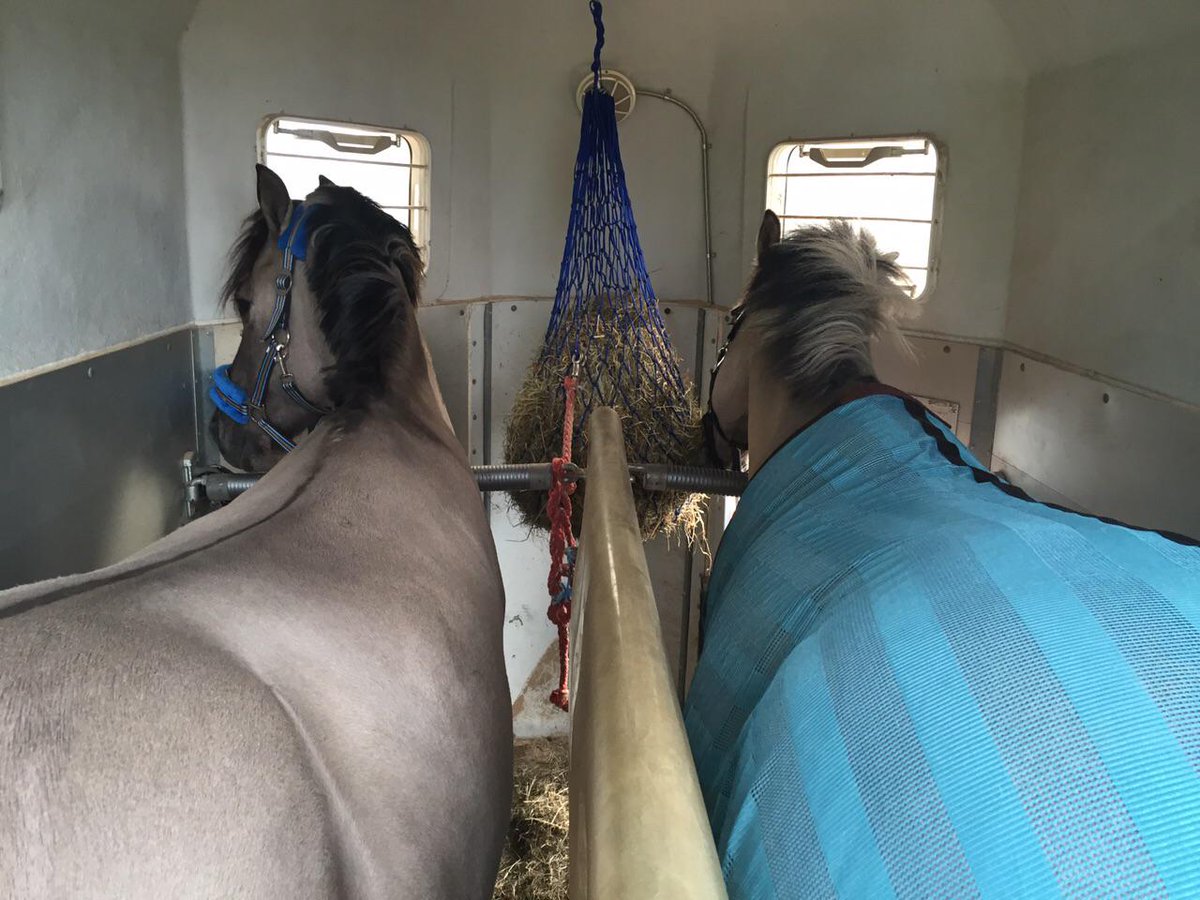 Pegasus ist umgestiegen und fährt jetzt mit Max weiter.