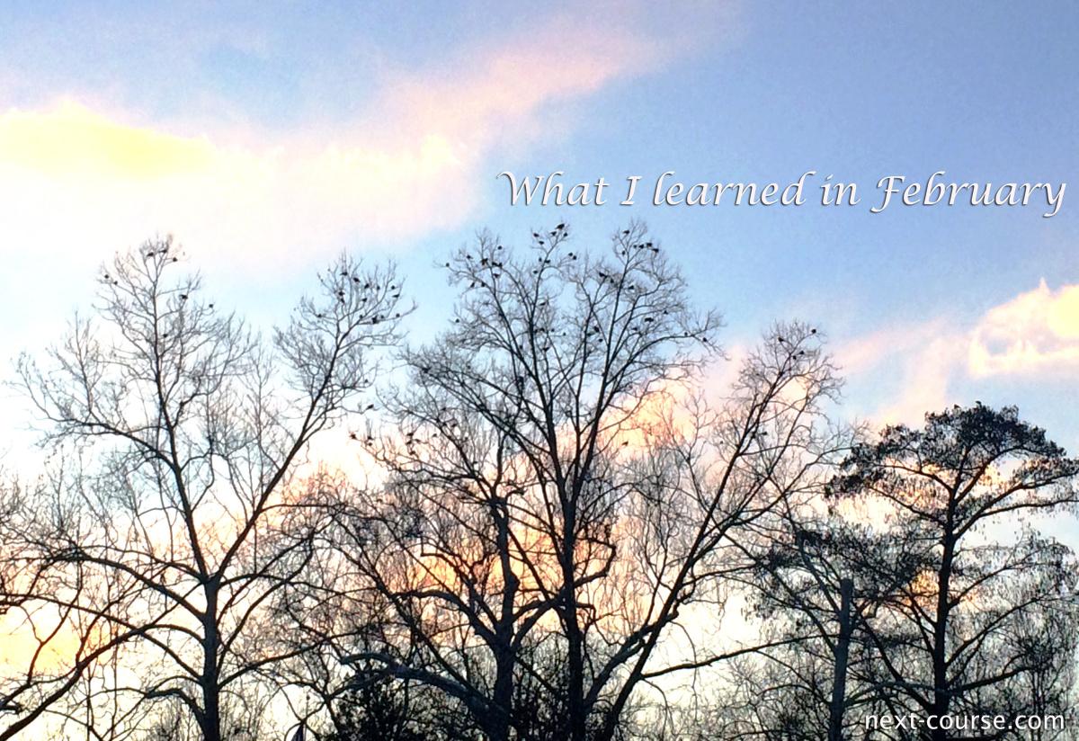 LindsHepler's tweet photo. Learned in February http://t.co/8SGwih7I0y http://t.co/kbVpslODdW