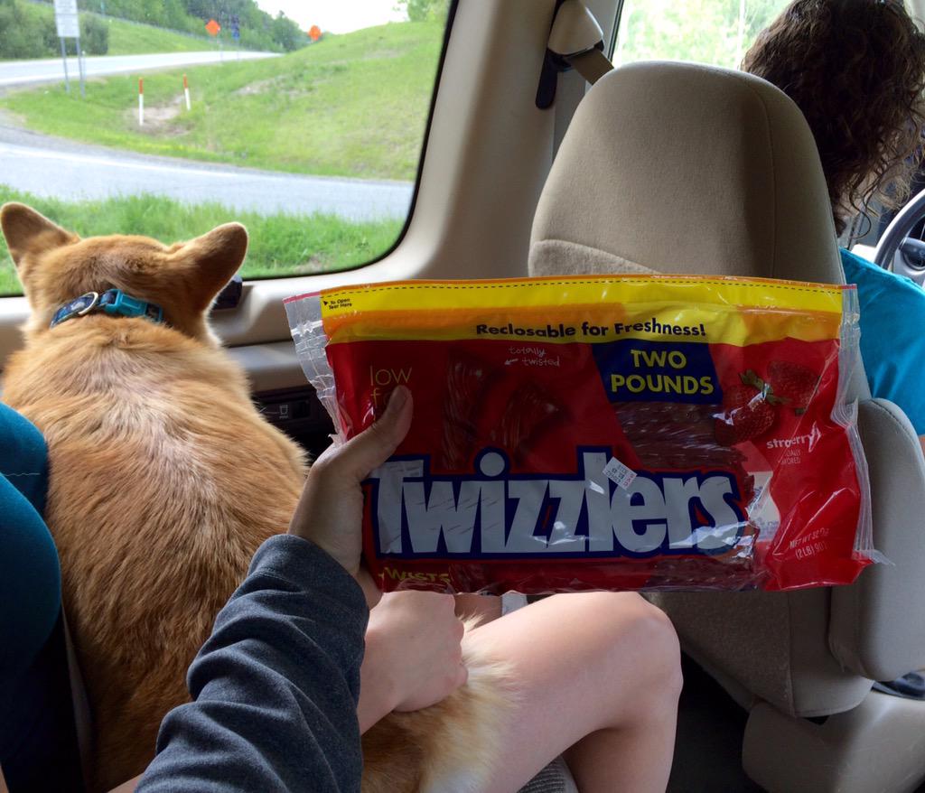 pedalpowerteam's tweet photo. 2 pounds of Twizzlers! This should last us at least a few hours. #ksr #shevanigans http://t.co/gUYhDl6n6q