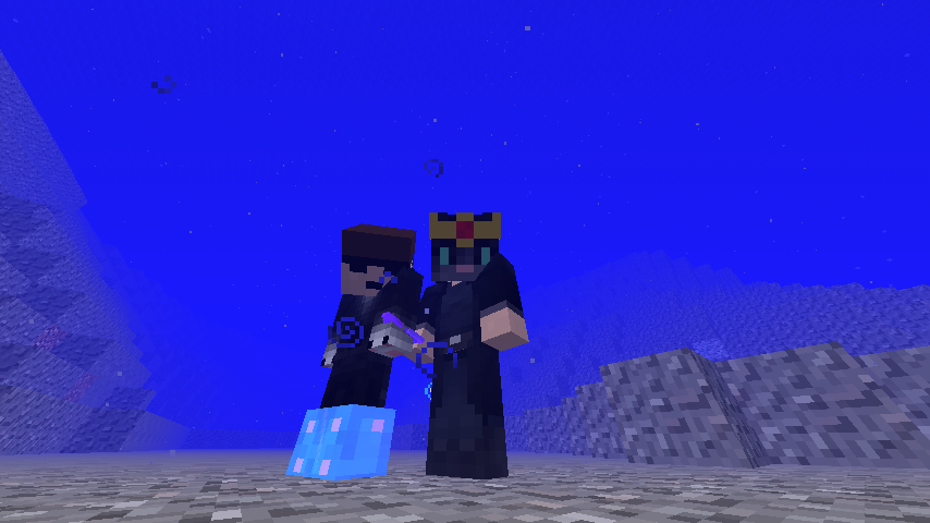 coolcoder360's tweet image. Hanging out with @piercetheeurn in Minecraft.  #CatCoder