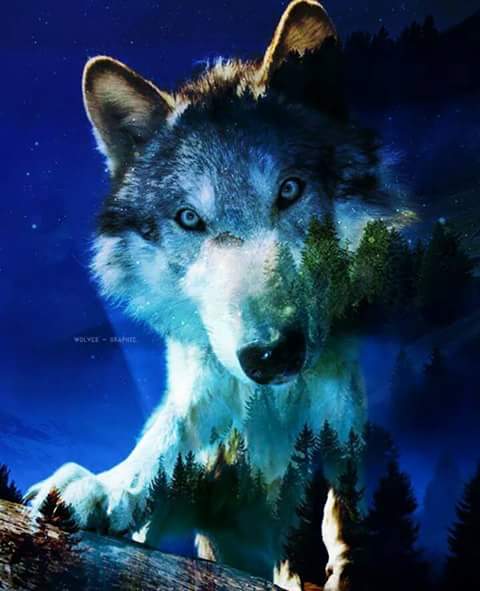 kikodiablillo's tweet photo. http://t.co/FfCEFyf1pL