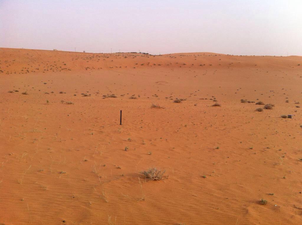 Fahd4866's tweet photo. طرق الاعتداءوسرقة الاراضي الزراعية الطرق بالزلفي بالنفودوضع المراسيم!!
#نطالب_بمحاسبة_واقإلة_مديرالزراعة http://t.co/WFbxvmdcPP