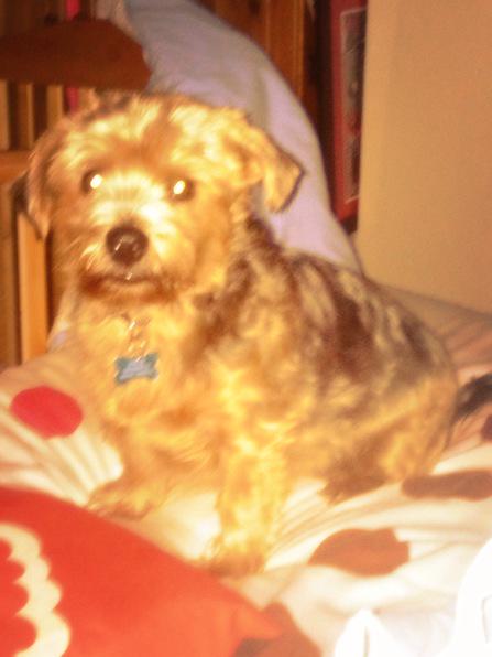 kelly290803's tweet image. #suchadorbes #manywow