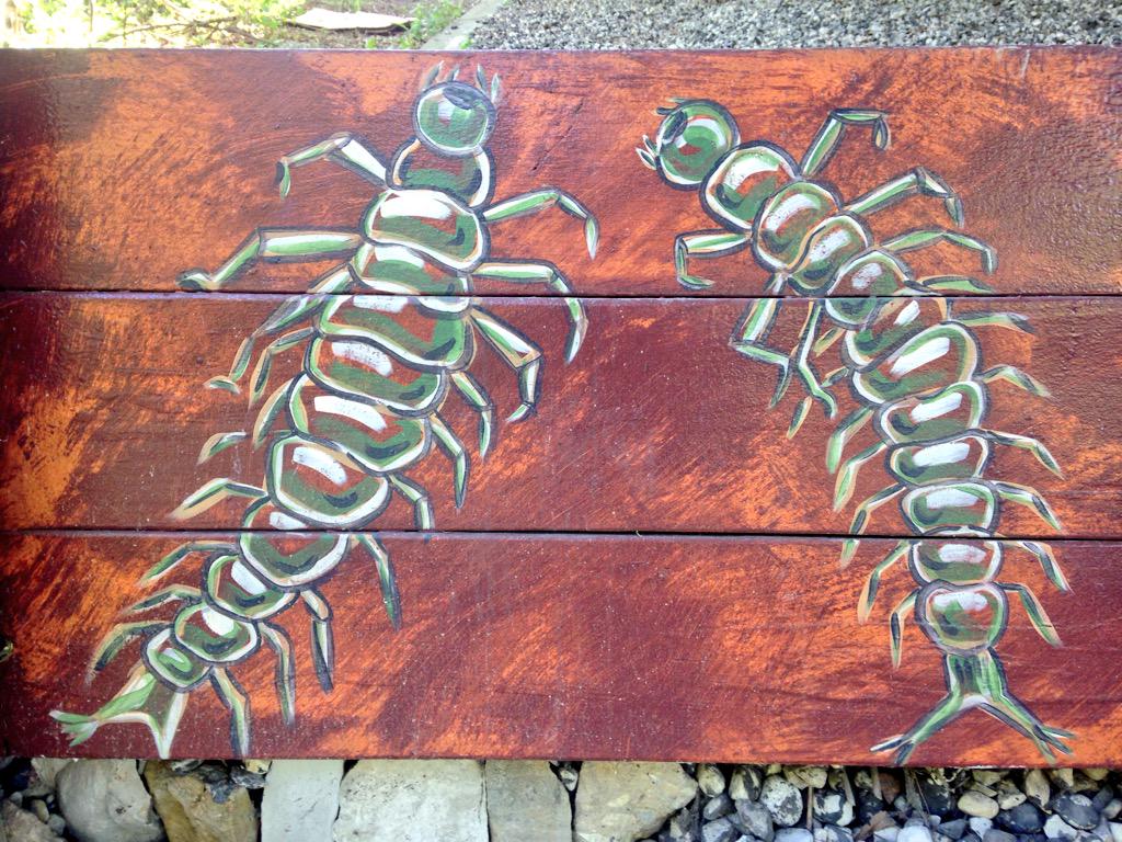 mtbogan's tweet photo. Great post- #2015SFS trip to Milwaukee's @urbanecology Center. Aquatic invertebrates painted on the wall along trail! http://t.co/fSLB4MvHZF