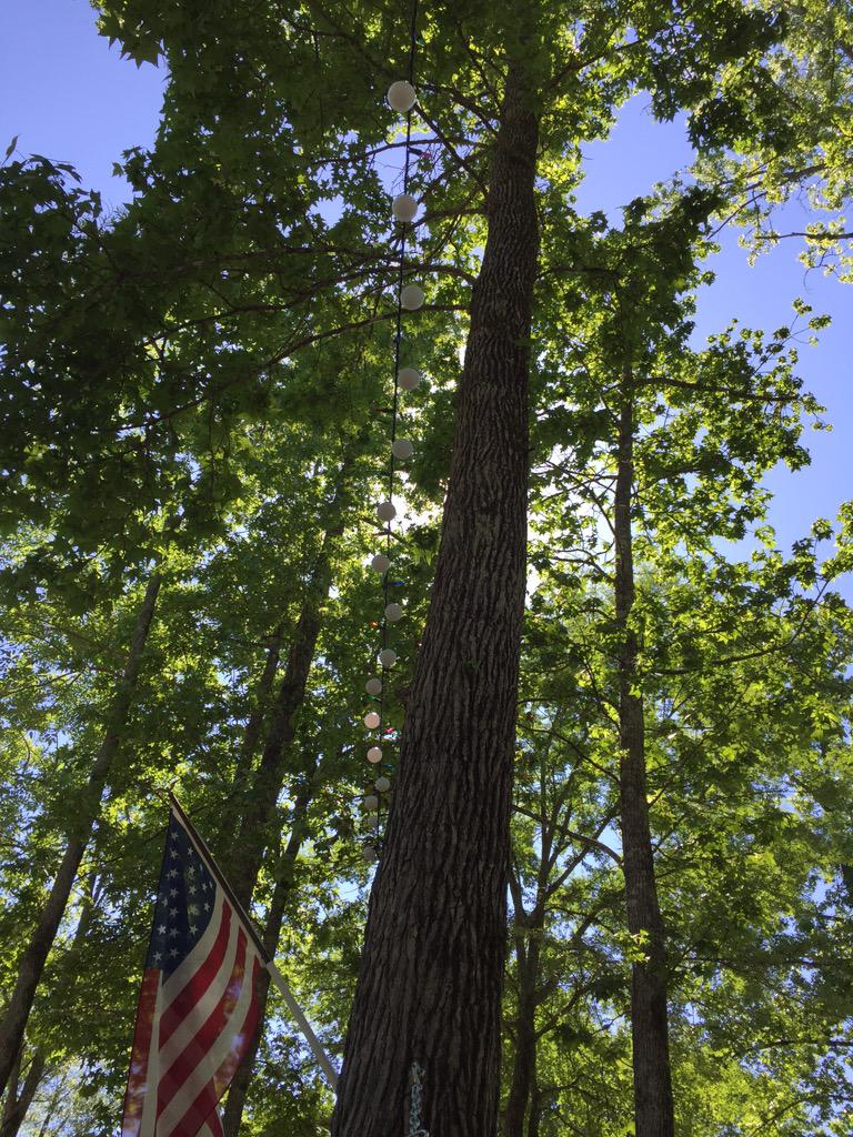 khicks84's tweet photo. Chilling in hammock http://t.co/xPuUx6Jdhd
