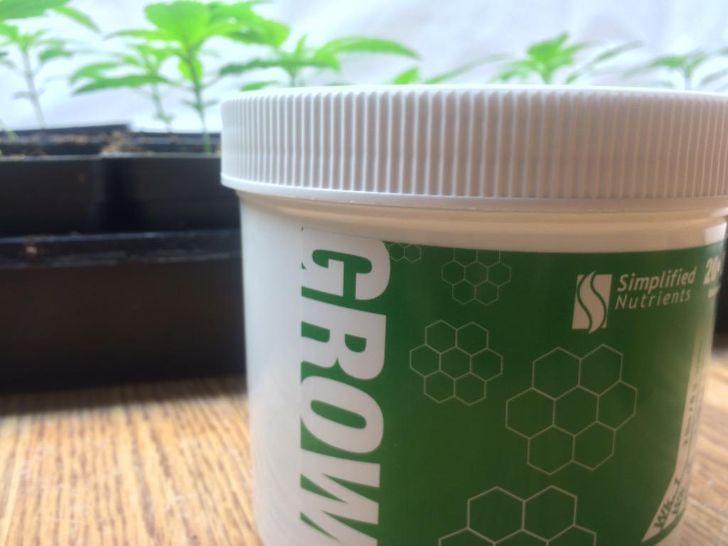 SimpNutrients's tweet photo. 20*20*20 #Grow is a #Cannabis specific fertilizer for your Veg Cycle #i502 #WaWeed #GrowYourOwn http://t.co/TkX74o2G5v