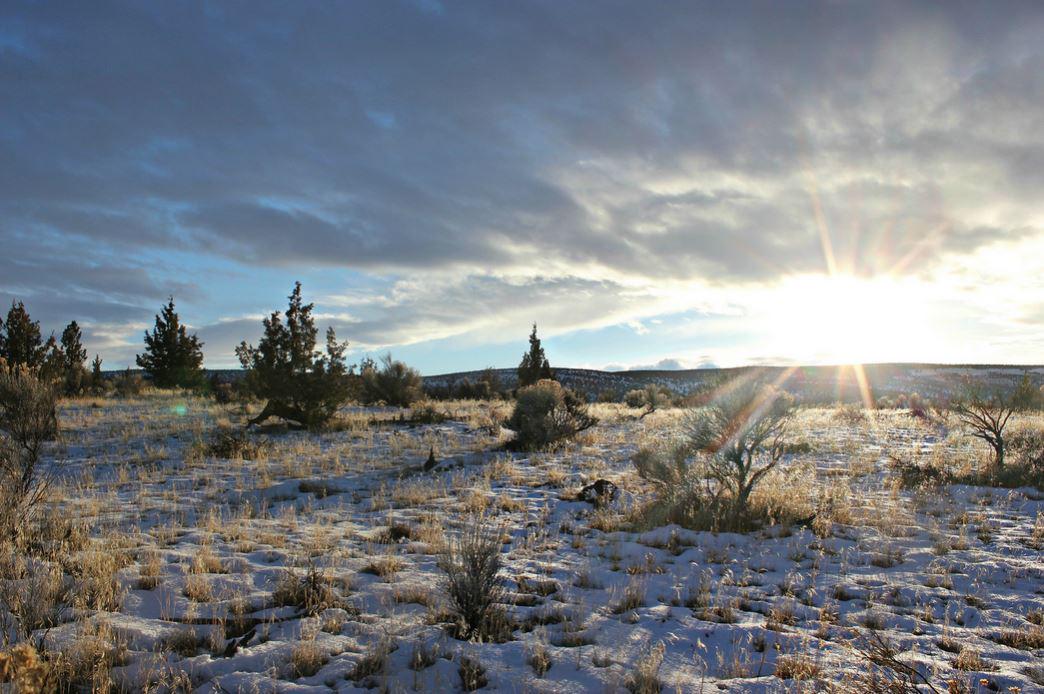BLMOregon's tweet image. The stunning #Oregon Badlands #Wilderness – photo by Tishali facebook.com/BLMOregon/phot… #nature #getoutside