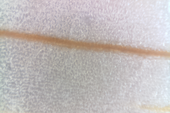 <a href="/Diymicroscope/">Diy microscope</a>