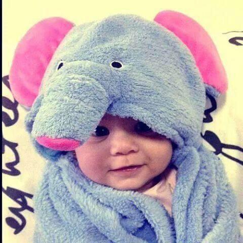 losmasadorables's tweet photo. Bebé elefante 😍😍 http://t.co/uT3Hd8oepc