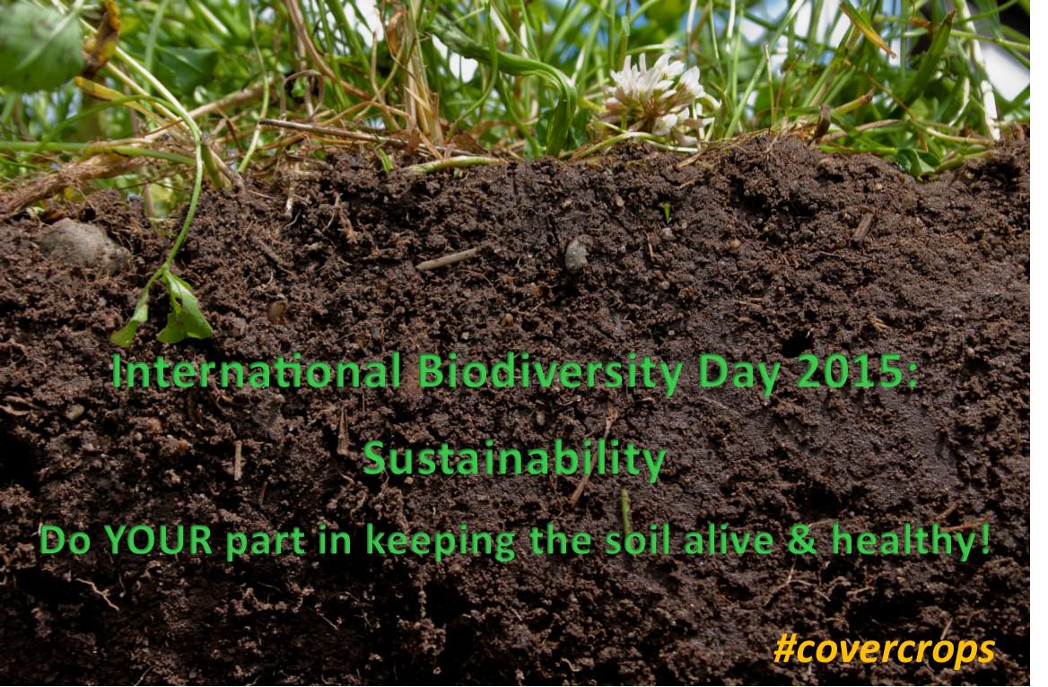 Since today is #IBD2015 - remember to keep #soilhealth a priority when talking sustainability! #covercrops