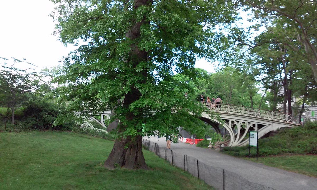 johnnavidadny's tweet photo. THIS IS THE PLACE and the information of the event we have tomorrow in Central Park, at 4 pm:
http://t.co/SbcOxwBuru http://t.co/VvTe0ogj3K