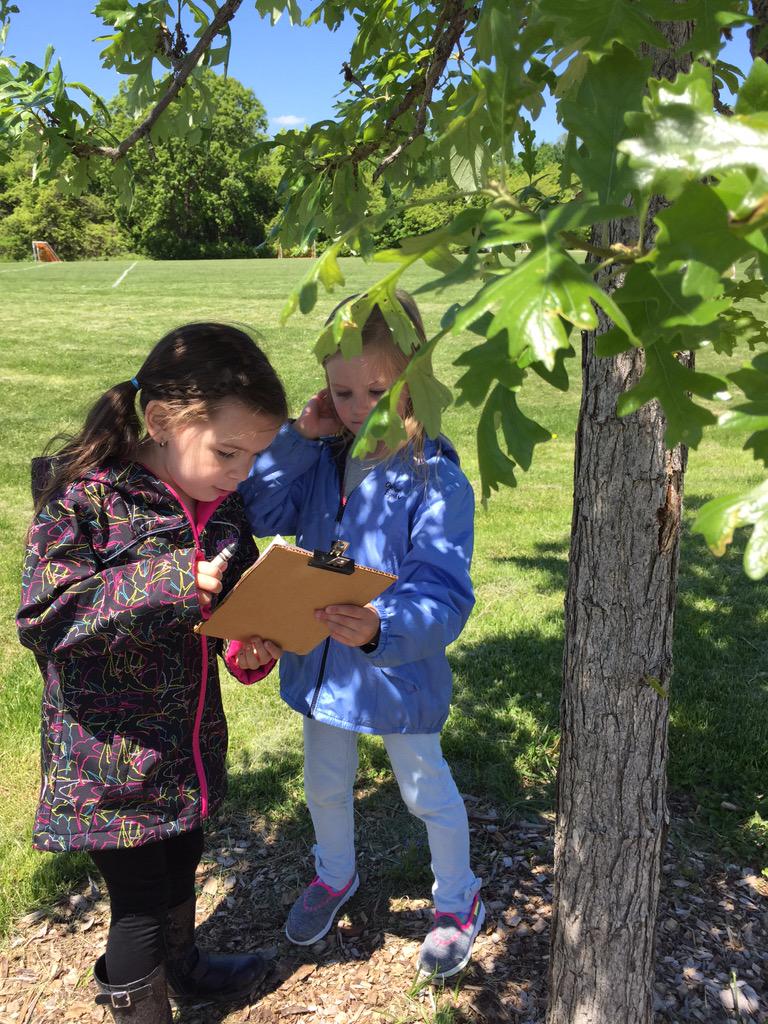 JennaSchertzer's tweet photo. @TVAelementary A Sunny Friday nature walk exploring the various types of trees in McAuliffe Park. #tvaelem http://t.co/i3BDVJvmc7