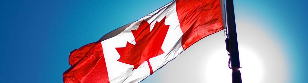 RebelNewsOnline's tweet photo. PLEASE RT: How you can HELP @EzraLevant and @TheRebelTV #SaveOCanada: SaveOCanada.ca #cdnpoli #tcot http://t.co/lYUIJFQk58