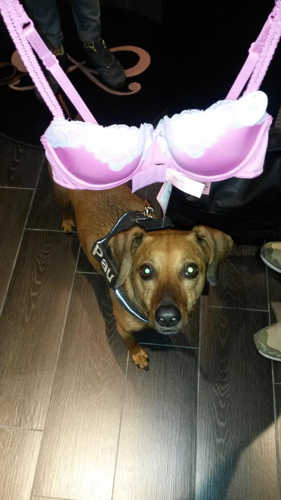 So schön ist es bei Hunkemöller am LP 12