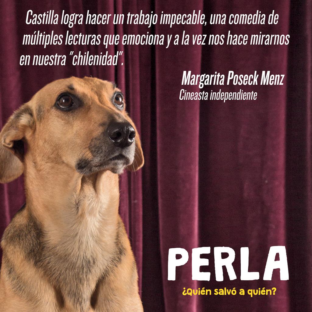 El estreno de la semana es <a href="/PerlaPelicula/">Perla La Película</a>. Una historia que impacta y emociona. Todos a disfrutar #Perla en el cine!