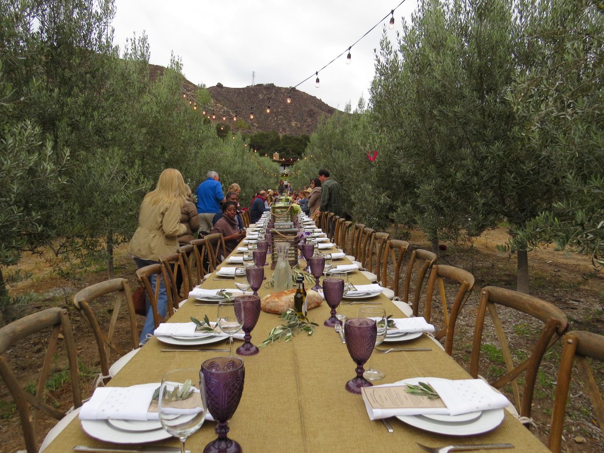805foodie's tweet photo. ... then sat among the estate olive trees for a 4-course #TotallyLocalVC dinner ... http://t.co/hrryYUSgJU