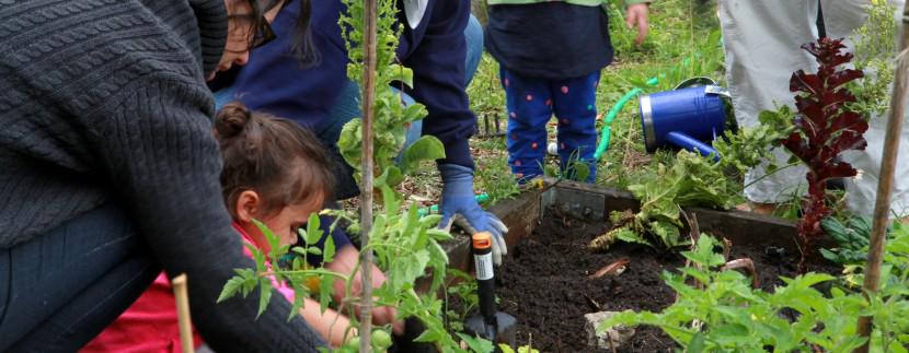 LiveParkhill's tweet photo. Gardening season is here! Make the most of it with The #Steinbach &amp; Area Garden Club.  http://t.co/ewTiVq2TBd http://t.co/C6iZM8sbjW