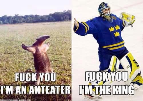 NYR_Jugs88's tweet photo. If you're stressing about tonight's game remember hank. Your saviour. #TheKingRules #NYR http://t.co/TNybCSOBDC