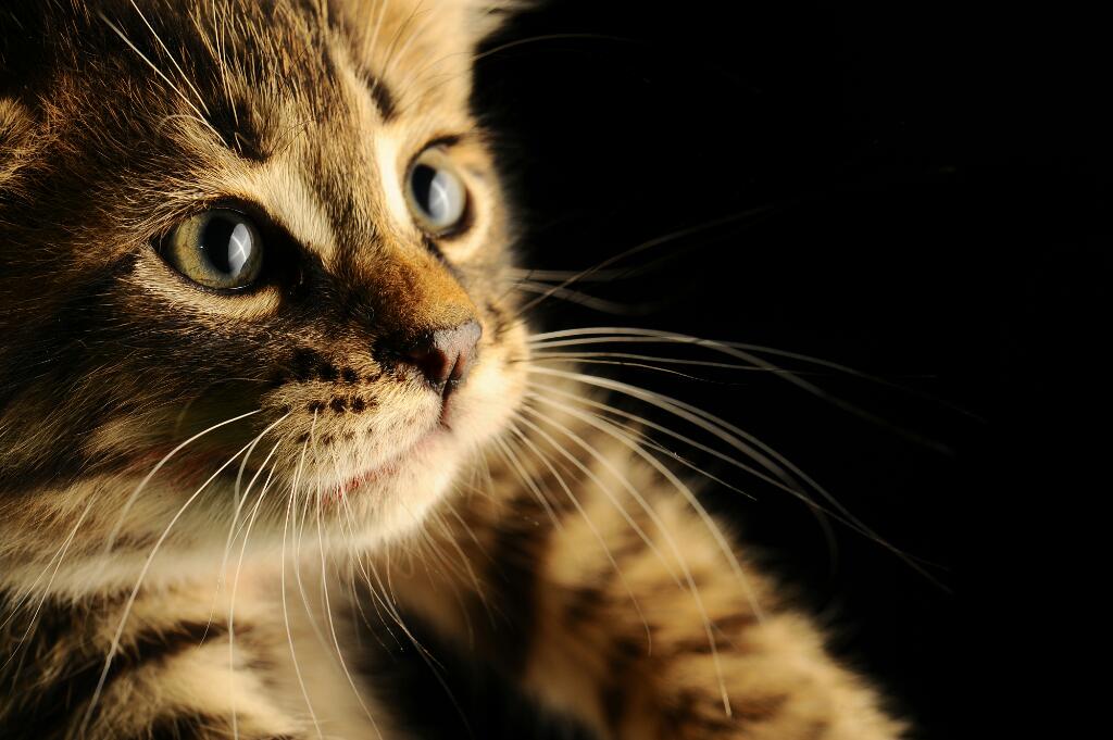 NasNr87's tweet photo. http://t.co/02NpeJFKTs
