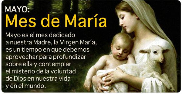 SantosIglesia's tweet photo. .Mes de María. Flor del 23 de mayo: María, la alegría del Pentecostés  http://t.co/HD7B2cLMuN http://t.co/QM2b93efYT