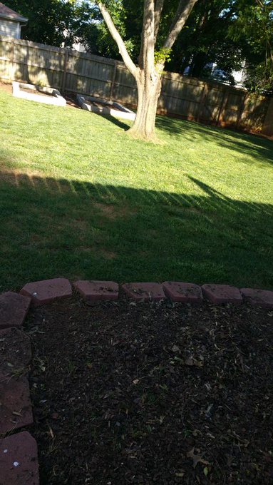 All done! Now just have to finish picking up the wood chips this week!! http://t.co/0AjrfgqC0N<a href="/tag/govote"class="tags"><span>#govote</span></a><a href="/tag/ivoted"class="tags"><span>#ivoted</span></a><a href="/tag/electionday"class="tags"><span>#electionday</span></a>
