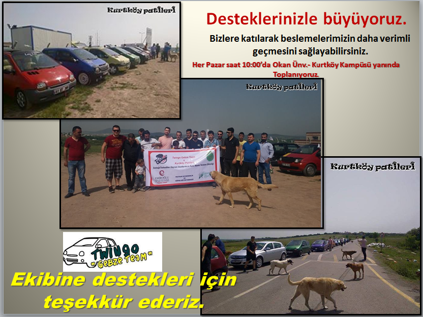17 Mayıs'ta beslememize Gebze Twingo Team' de destek verdi ve katıldı. Çok teşekkürler hepinize :)