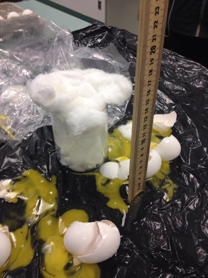 bcam_89's tweet photo. #scienceismessy #multiplecasualties Science 10 eggdrop 2k15 @CharlesHays52 http://t.co/V1RwrwKlB1