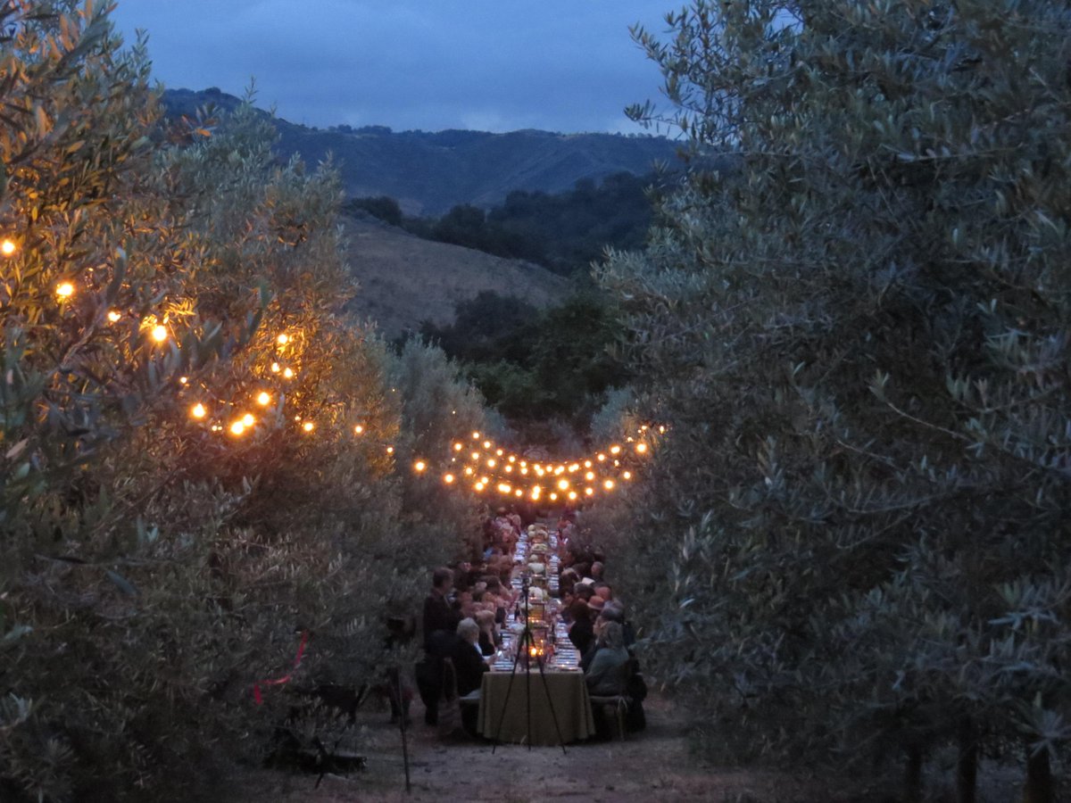805foodie's tweet photo. ... night falls in the olive orchard, somewhere in the hills between Ojai and Ventura ... #TotallyLocalVC http://t.co/HwHB0wsxpT