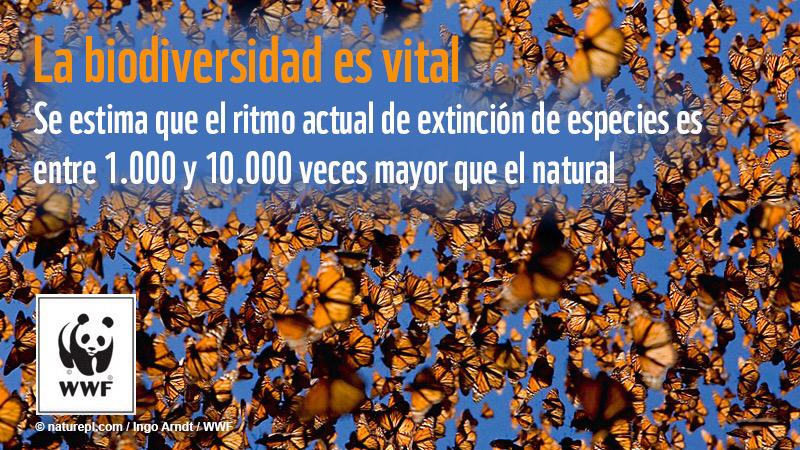 #BiodiversityDay 😿🆘 The current rate of #extinction of species is between 1,000 and 10,000 times the natural #IBD2015