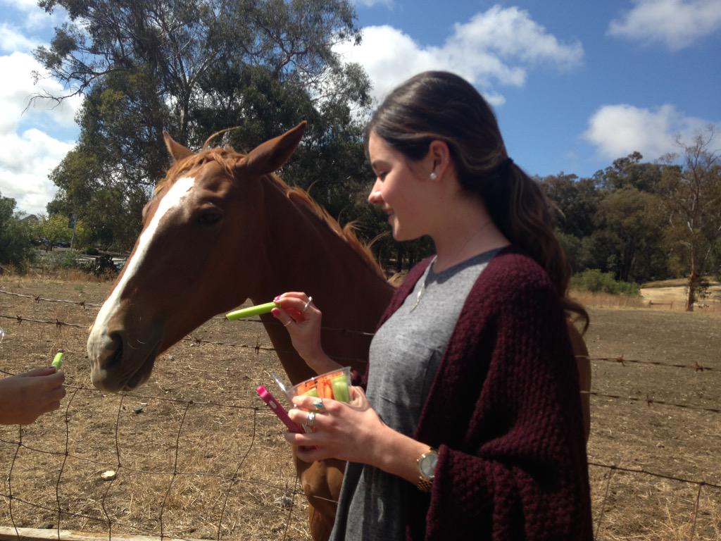 emjayy27's tweet photo. Expectations vs. reality #charlotteloveshorses http://t.co/zsbtH1pf4N