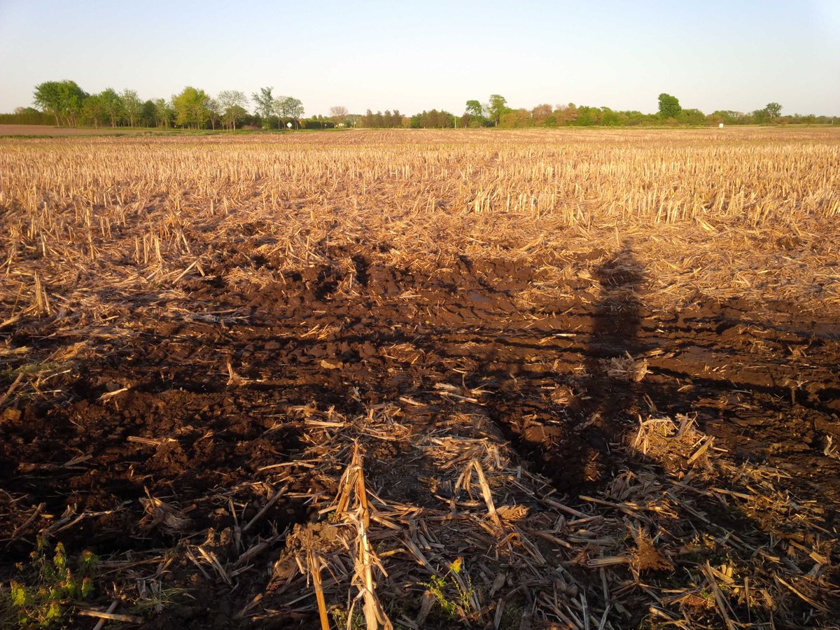 McLean_Scott86's tweet photo. No #Moisture problems here.... #FixingTile and #Wet ground http://t.co/ql40DUUXIR