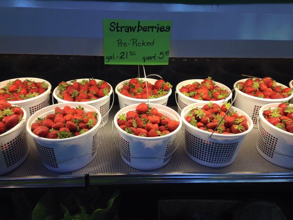 messicksmarket's tweet photo. Heading to a family event this weekend? A Messick's pie or gallon of strawberries would be a great treat to share! http://t.co/JAEM8Cg8wp