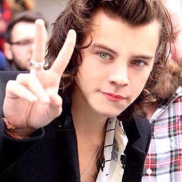 Horn198's tweet photo. ハリーの美しさ半端ない😍😍😍😍

#1D好きな人RT 
#ハリー好きな人 http://t.co/DeG3Qvvq4v
