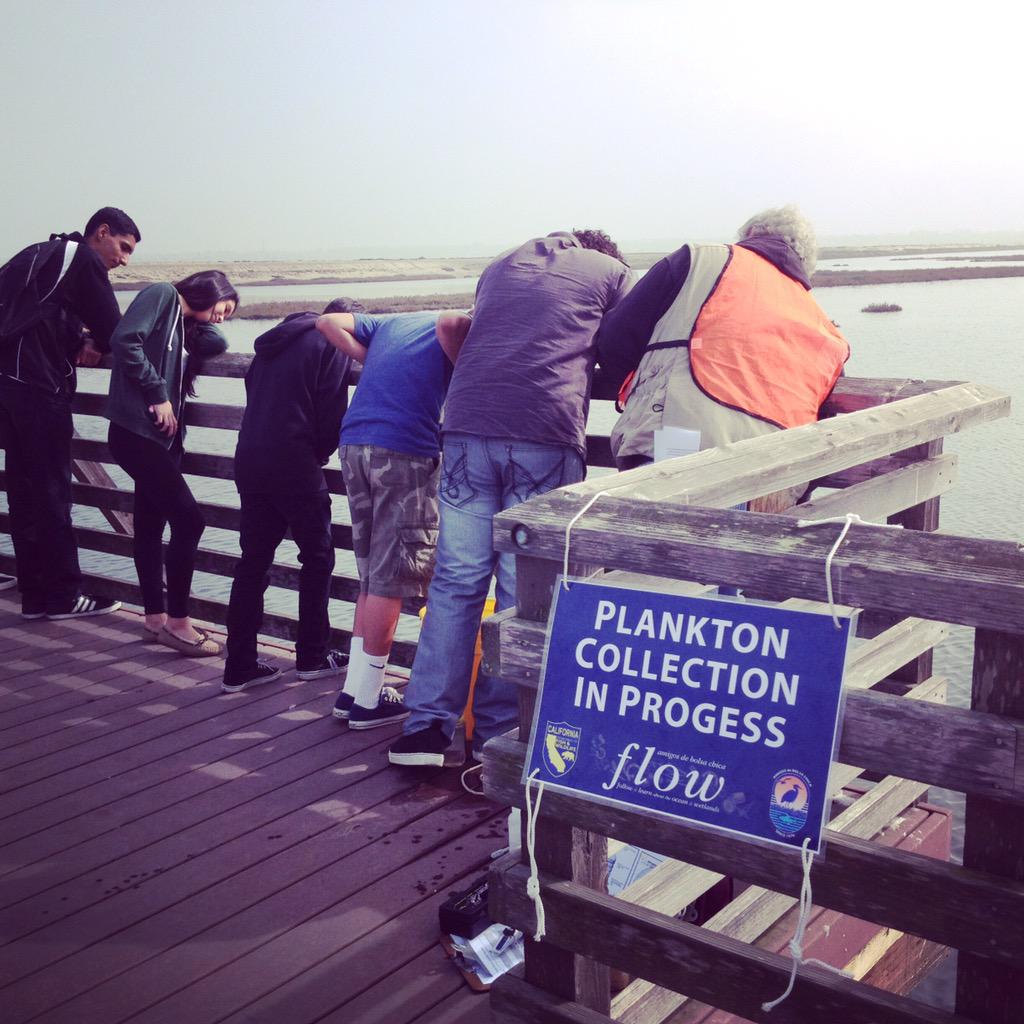 AmigosBC's tweet photo. Interested in #CitizenScience? Join FLOW at the #bolsachicaecologicalreserve! Email flow@amigosdebolsachica.org http://t.co/pZTtzLH8DM