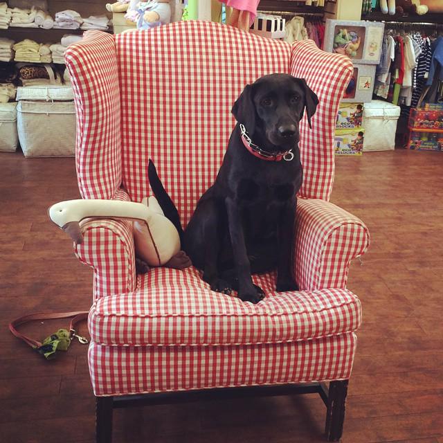 DottieDoolittle's tweet photo. We've been waiting patiently for the holiday weekend to arrive and it's finally here! Happy Memorial Day! http://t.co/2y2v9MMoFZ