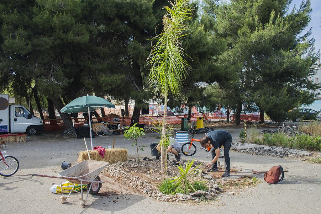 Our garden in the blacktop! #TEHmeeting79