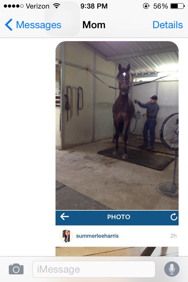 EquestrianMess's tweet photo. Hoping this will convince her. @cavallo_co has the most beautiful boots 😍 @esm_llc http://t.co/8udnGkOXmJ
