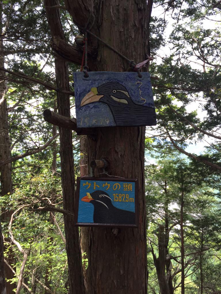 mountainrecon's tweet photo. ウトウの頭を通過！ http://t.co/csIgLZCbuq