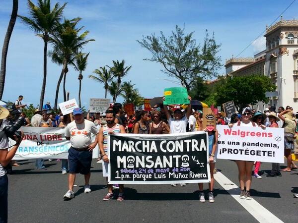 Ver imagen en Twitter Ver imagen en Twitter