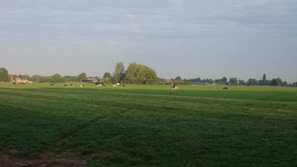 dePippert's tweet image. Het mooie van 24uur #beweiden, smorgens de koeien binnen halen #robotmelken