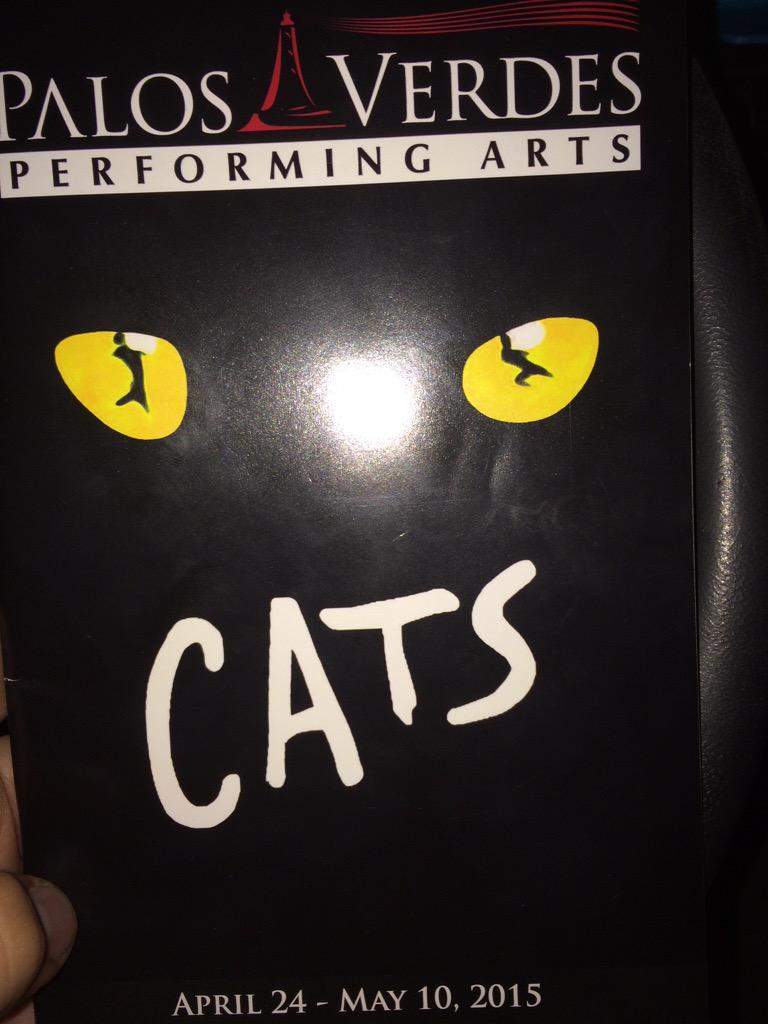 coldblank's tweet photo. Cats http://t.co/BiWPBoOURU
