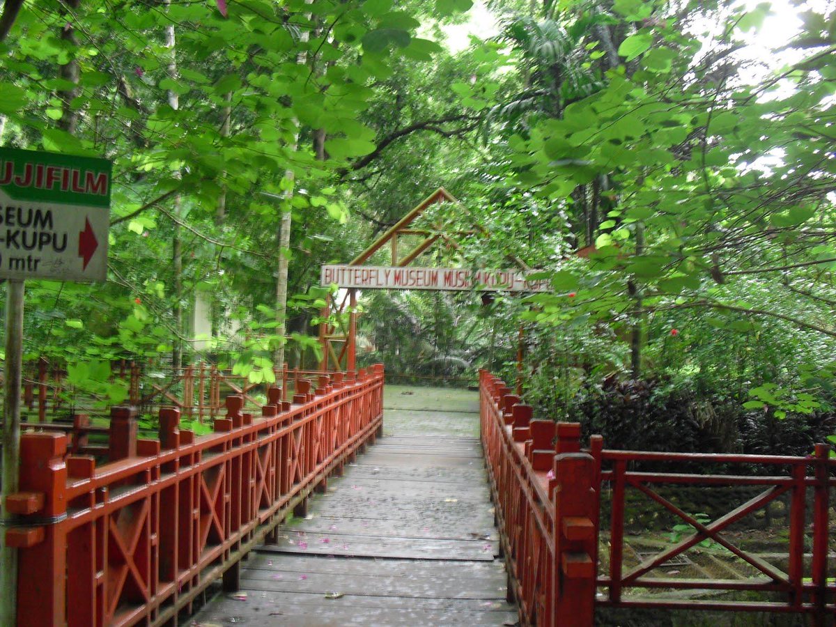 lancong2's tweet photo. Yuk ngelancong di @TamanNas_Bantimurung ada air terjun,gua mimpi,kupu2_1 jam dari kota Makassar#wisata/Traveling http://t.co/TgmW4LL8RM